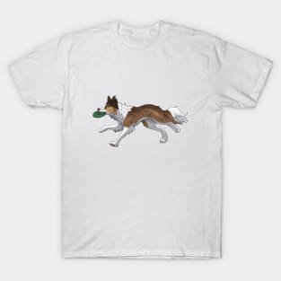 Running Sable Border Collie with Frisbee T-Shirt